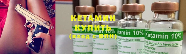 стаф Бородино