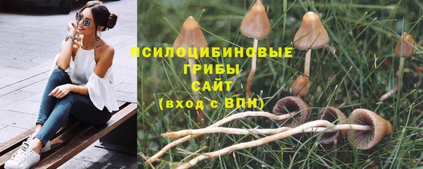 Альфа ПВП Бугульма