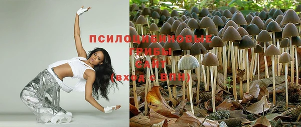 кокаин колумбия Богданович